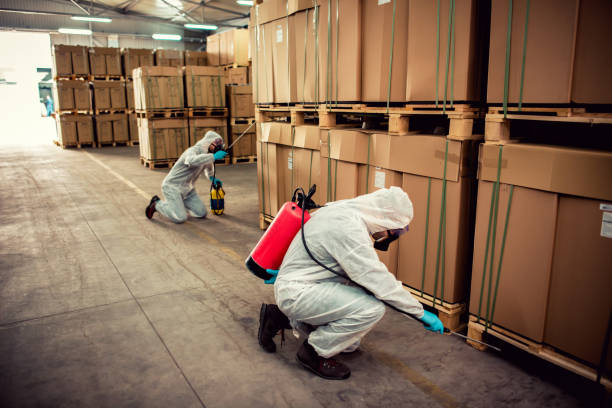 Best Exterminator Services  in Cody, WY