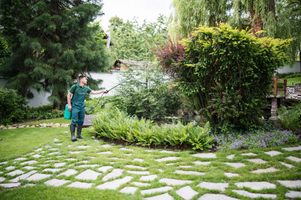 Reliable Cody, WY Pest Control Solutions