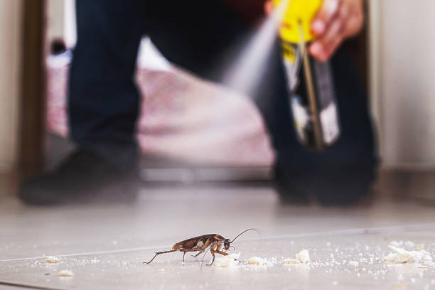 Best Pest Prevention Services  in Cody, WY