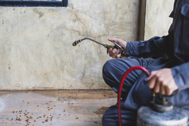 Best Pest Control Cost  in Cody, WY